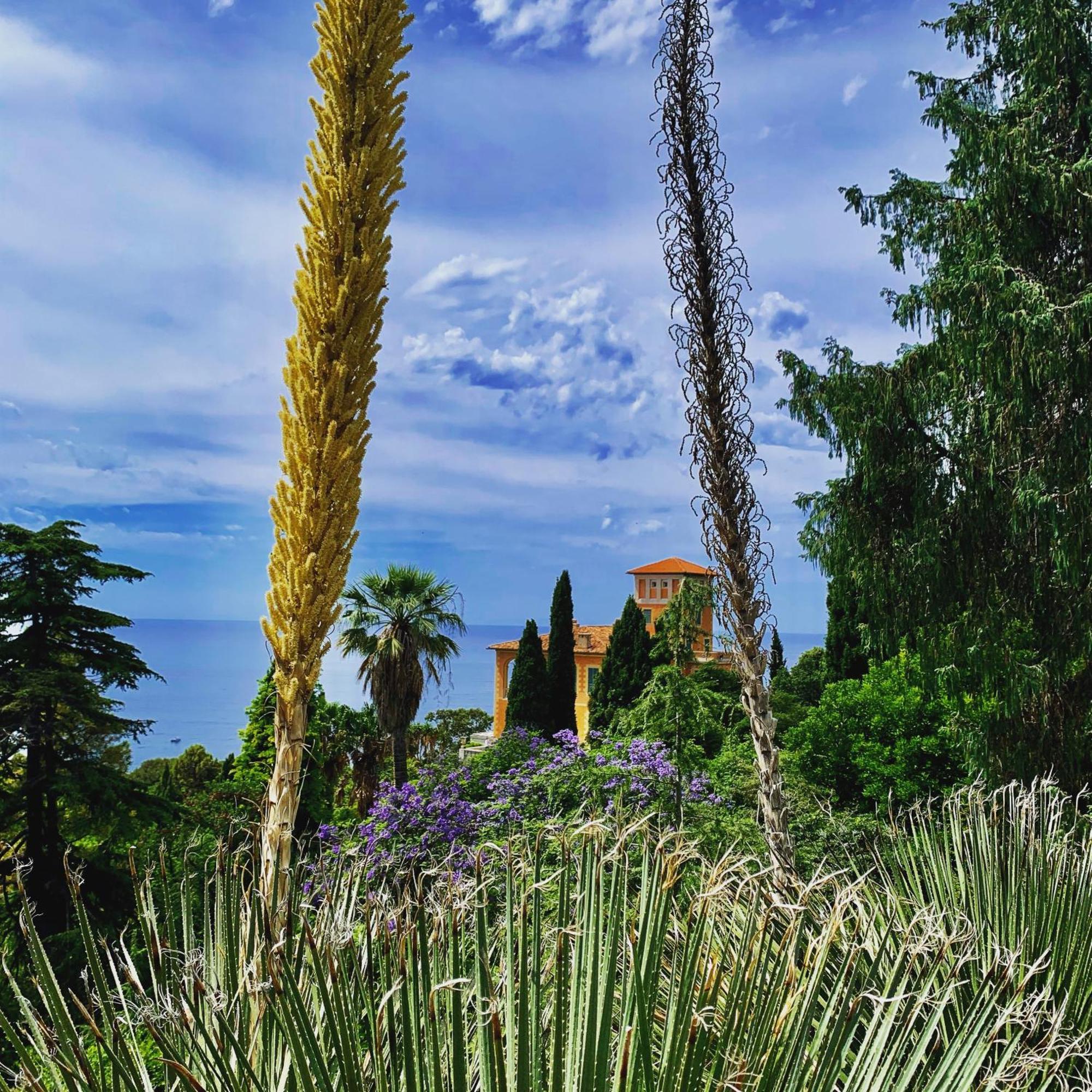 Casa Cele Centro Citta Vista Mare Apartman Ventimiglia Kültér fotó